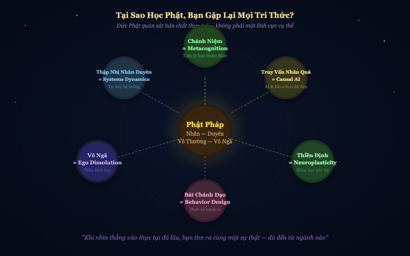 Học Phật gặp lại mọi tri thức hiện đại — chánh niệm, thiền định, nhân duyên hội tụ với khoa học