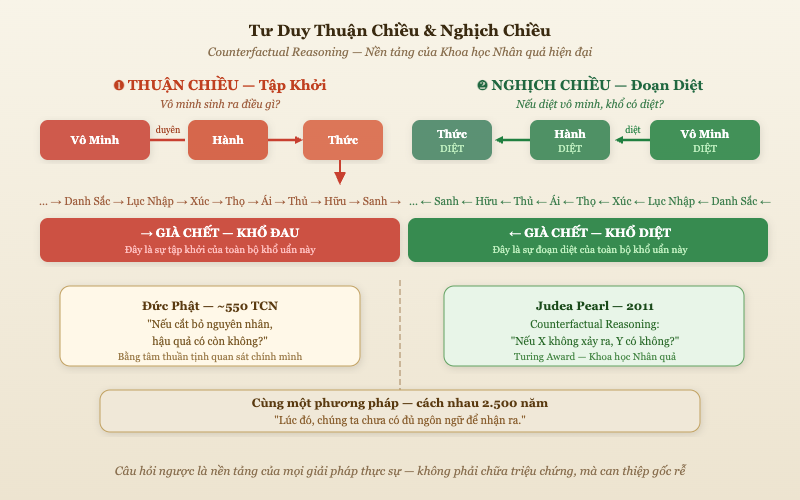Tư duy thuận chiều và nghịch chiều — Đức Phật và Counterfactual Reasoning của Judea Pearl