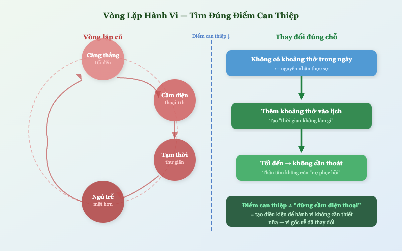 Vòng lặp hành vi — tìm đúng điểm can thiệp