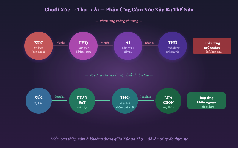 Chuỗi Xúc-Thọ-Ái: phản ứng cảm xúc thông thường và với nhận biết thuần túy